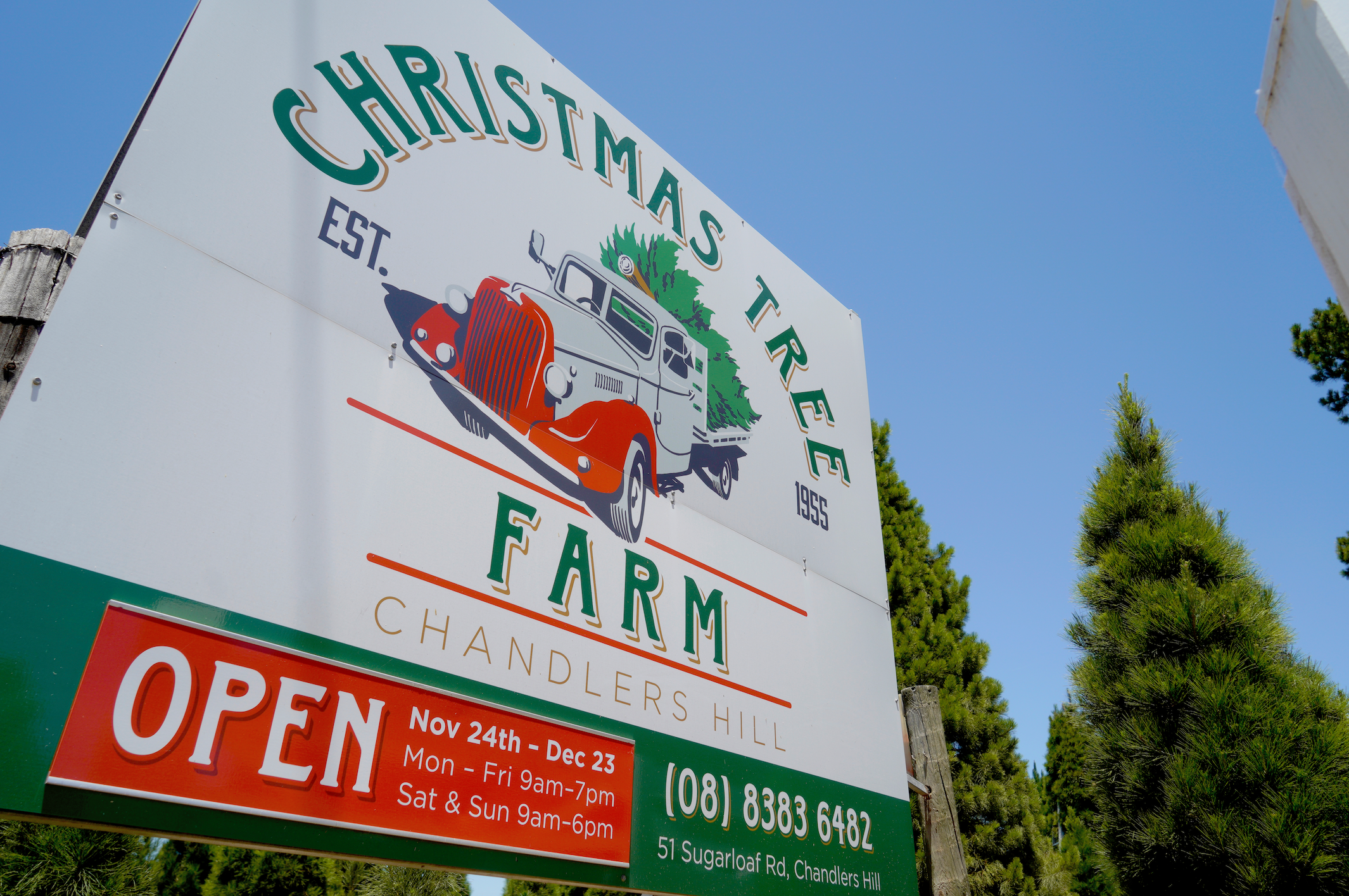 Photo of the main sign and entrance to Chandlers Hill Christmas Tree Farm, showing the festive decorations, forest surroundings, fresh Christmas trees, and welcoming farm atmosphere for families visiting during the holiday season