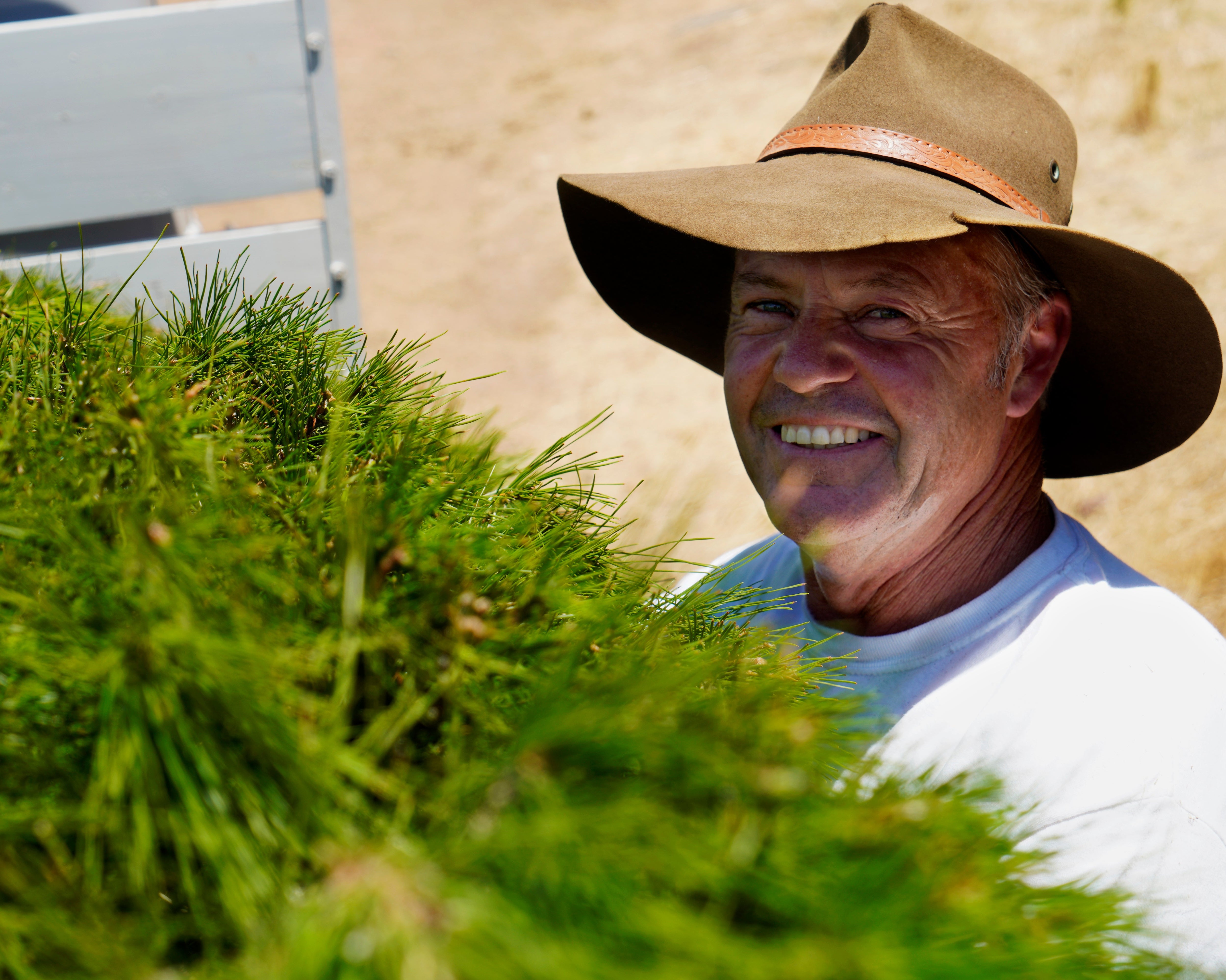 Smiling staff member holding a freshly cut Christmas tree at Chandlers Hill Christmas Tree Farm, Adelaide