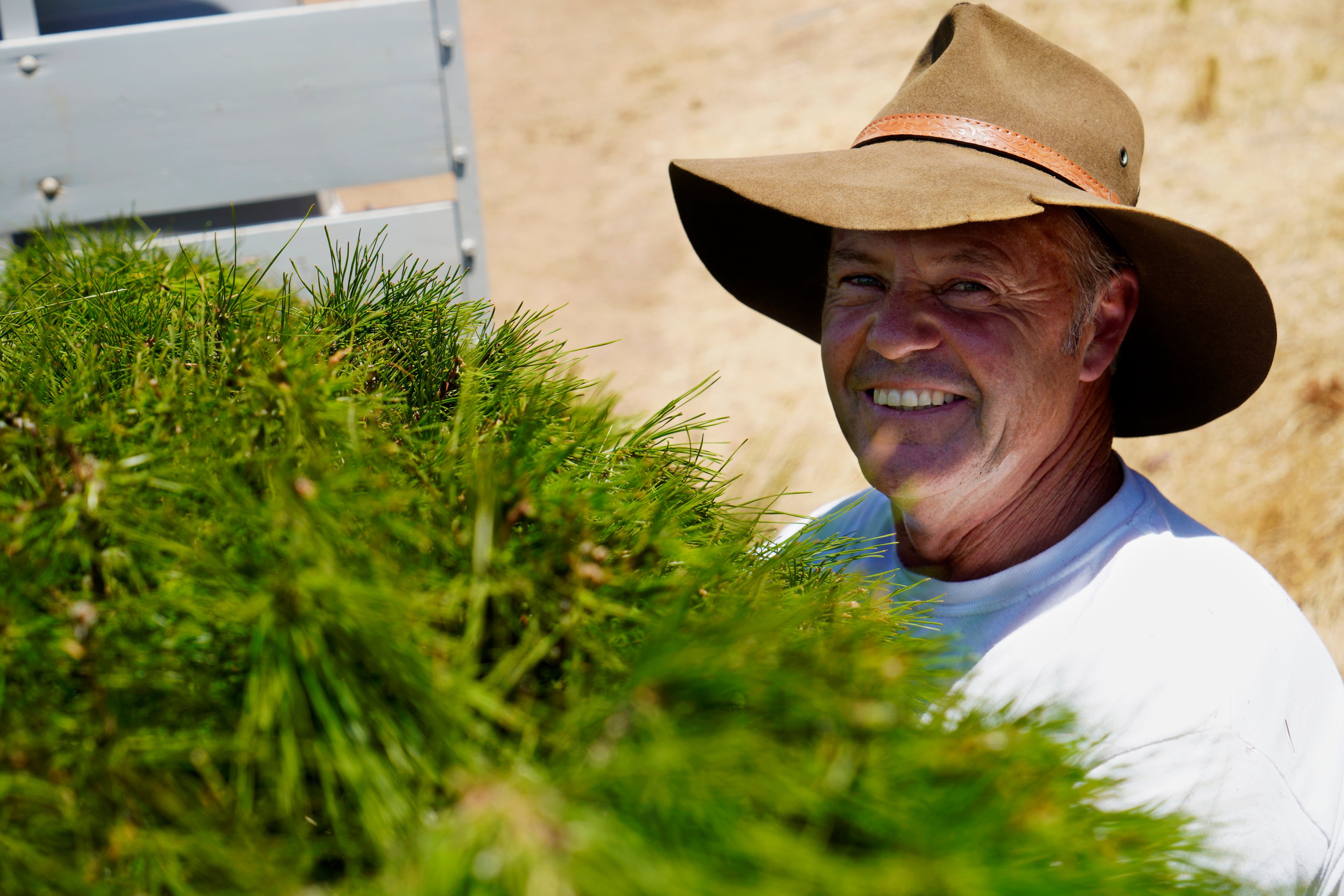 Smiling staff member holding a freshly cut Christmas tree at Chandlers Hill Christmas Tree Farm, Adelaide